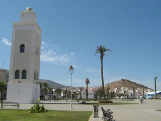 Nador : un projet à 239 millions de dollars pour transformer les huiles de friture en carburant d’avion