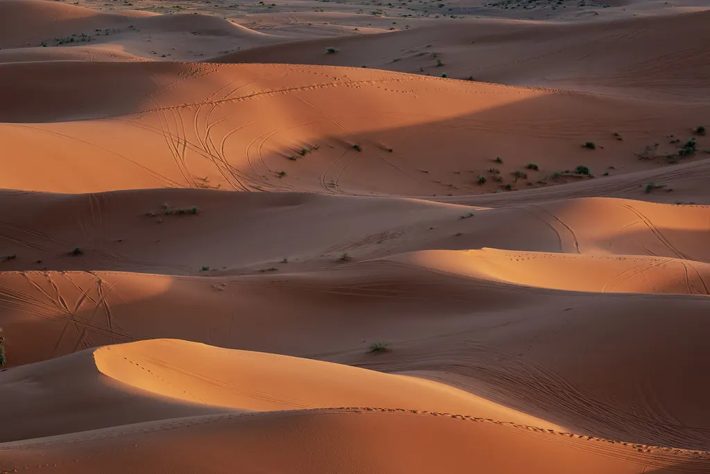Africa Eco Race : le rallye partira de Tanger le 24 janvier 2027
