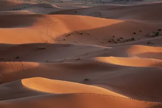 Africa Eco Race : le rallye partira de Tanger le 24 janvier 2027